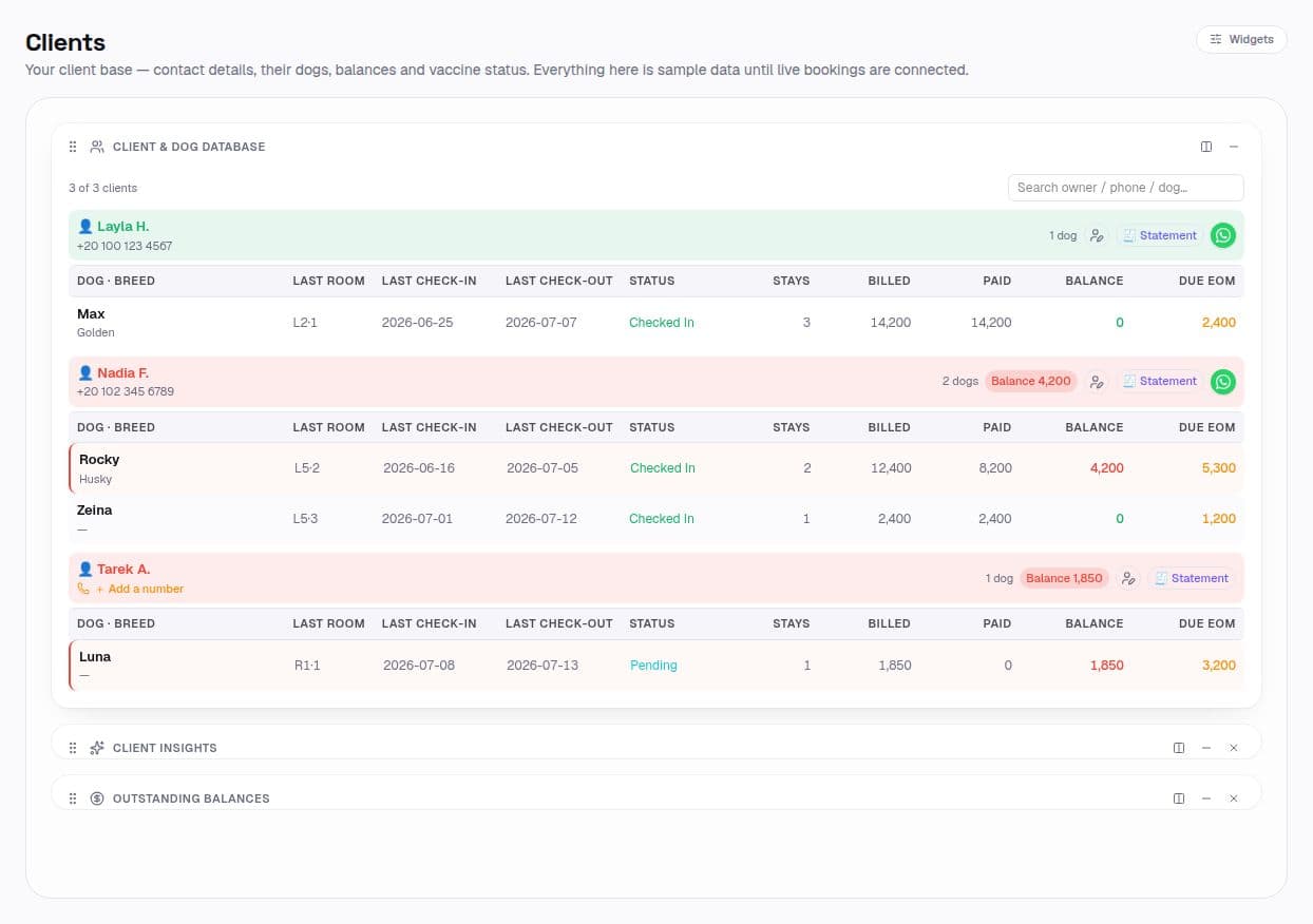 Client accounts with lifetime billing and balance